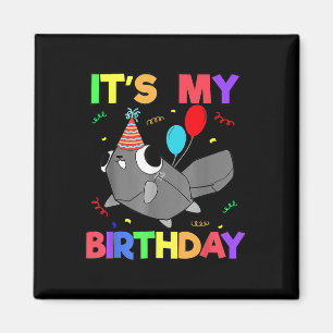 Dandys World Pebble Geburtstagsdekoration für Kind Magnet