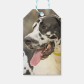 Dane Geschenkanhänger (Vorderseite)