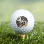 Dane Golfball (Insitu T-Shirt)