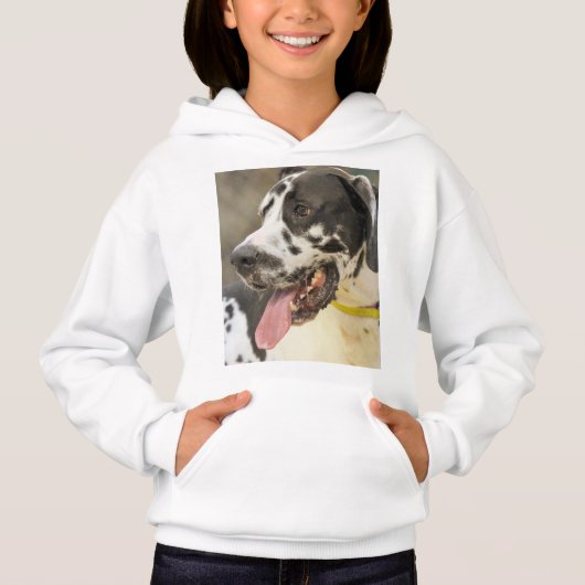 Dane Hoodie (Vorderseite)
