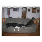 Däne-Kalender Kalender (Titelbild)