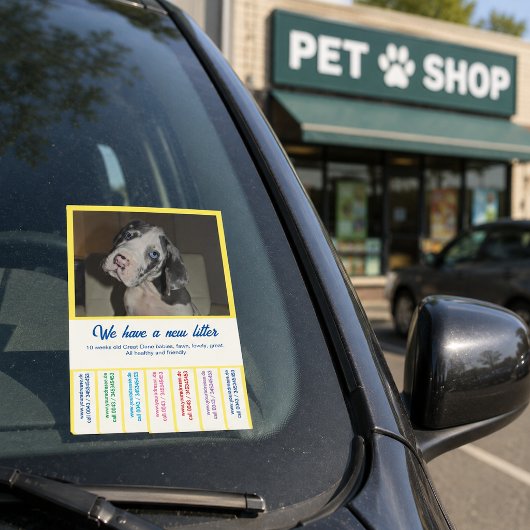 Dane Welpen farbig verkaufen Post-it Klebezettel