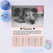 Dane Welpen Flyer verkaufen (Einzeln)