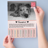 Dane Welpen Flyer verkaufen (Hand)