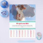 Dane Welpen Flyer verkaufen (Einzeln)