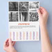 Dane Welpen Flyer zu verkaufen (Hand)
