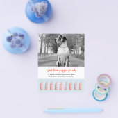 Dane Welpen verkaufen Flyer (Einzeln)