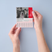 Dane Welpen verkaufen Flyer (Gruppe)