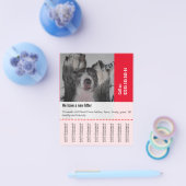 Dane Welpen verkaufen Flyer (Einzeln)