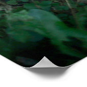 Dänemark_11 Poster (Ecke)