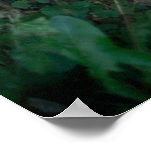 Dänemark_11 Poster (Ecke)