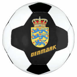Dänemark Fußball