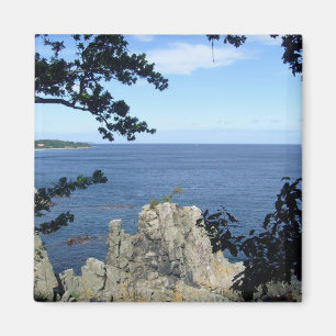 Dänemark: Küste Dänemarks Magnet