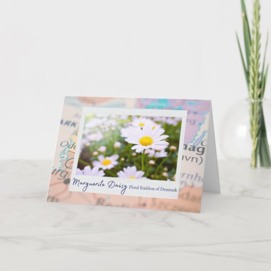 Dänemark Marguerite Daisy Floral Emblem auf Karte (Vorderseite)