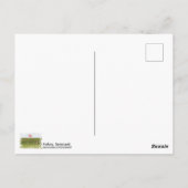 Dänemark, Viking Land Fyrkat Postcard! Postkarte (Rückseite)