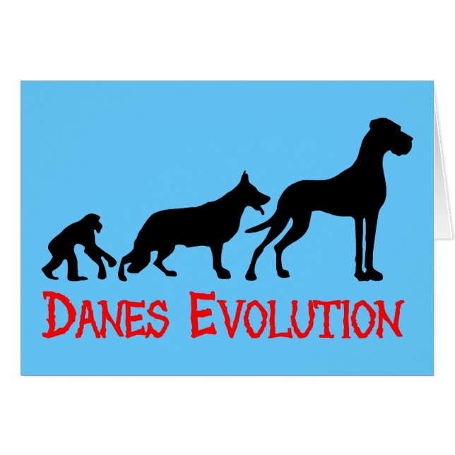 Danes Evolution (Vorderseite (Horizontal))