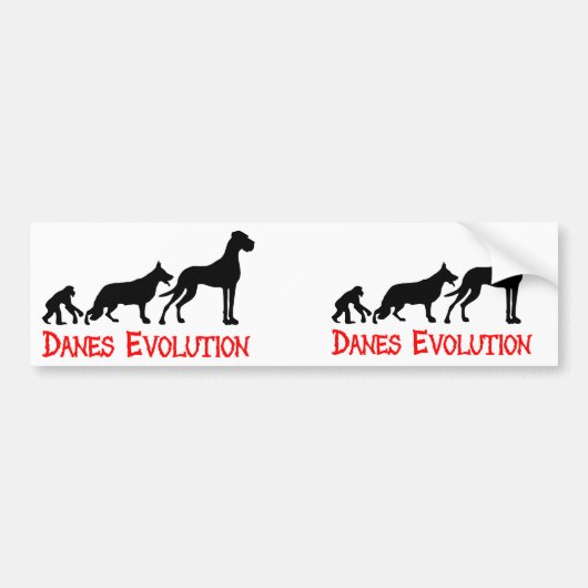 Danes Evolution Autoaufkleber (Vorne)