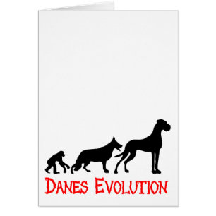 Danes Evolution Evolution der Deutschen Dogge