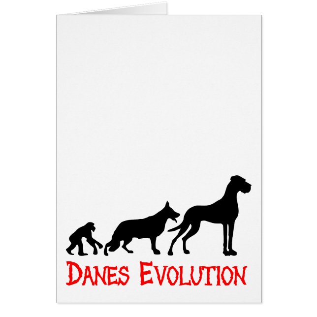 Danes Evolution  Evolution der Deutschen Dogge (Vorne)