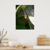 Dangeling Spider Poster (Küche)