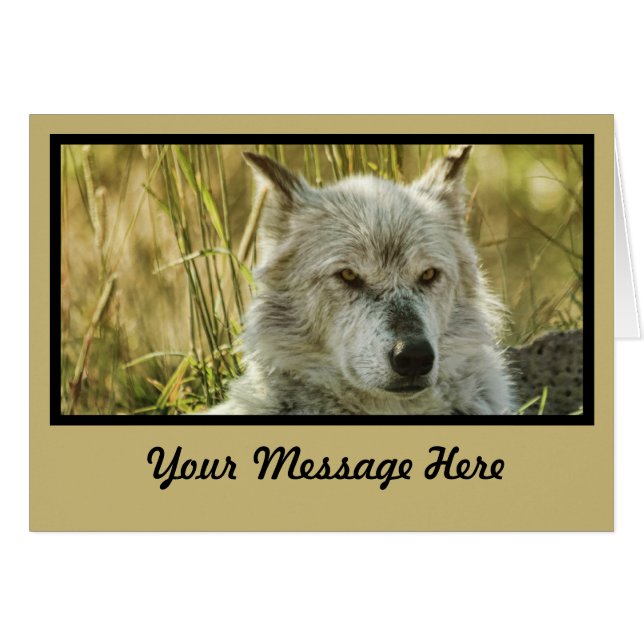 Dangerous Calm in tan (Vorderseite (Horizontal))