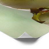 Danging Orchid Poster (Ecke)