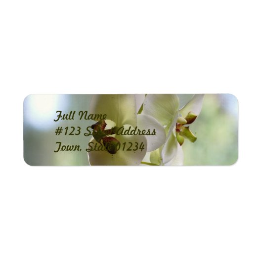 Dangling Orchid Mailing Labels (Vorne)