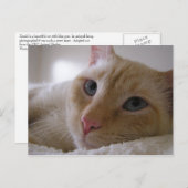 Daniel #2 postkarte (Vorne/Hinten)