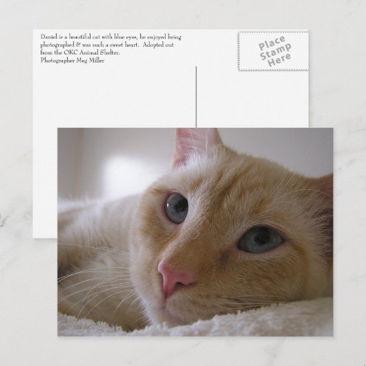 Daniel #2 postkarte (Vorne/Hinten)