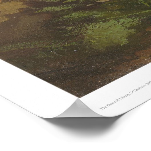 Daniel Boone (1251) Poster (Ecke)