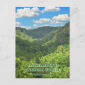 Daniel Boone National Forest Overlook Kentucky Postkarte (Vorderseite)