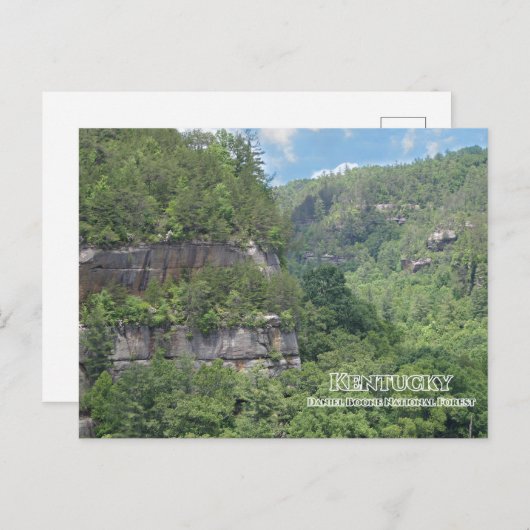 Daniel Boone National Forest Overlook Postkarte (Vorne/Hinten)