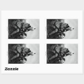 Daniel Boone Rechteckiger Aufkleber (Blatt)