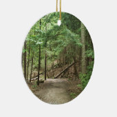 Daniel Boone Wilderness Trail, Cumberland Gap TN Keramik Ornament (Rechts)