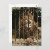 Daniel Hernández Morillo: Auf dem Löwenkäfig Postkarte (Vorne/Hinten)
