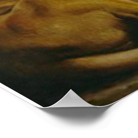 DANIEL IN the LIONEN DEN Poster (Ecke)