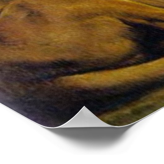 Daniel in the Lion's Den Poster (Ecke)