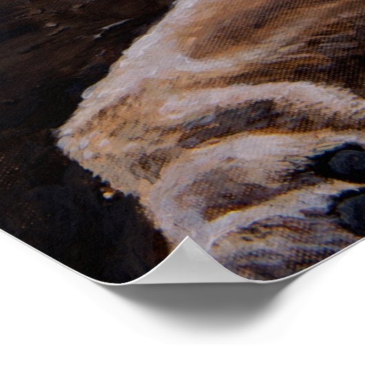 Daniel in the Lion's Den Poster (Ecke)