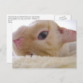 Daniel Postkarte (Vorne/Hinten)