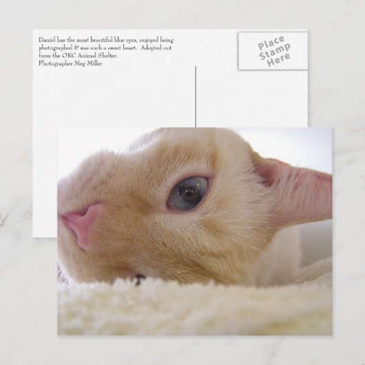 Daniel Postkarte (Vorne/Hinten)