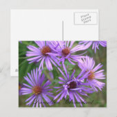 Danielson, Ct Postkarte (Vorne/Hinten)