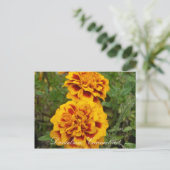 Danielson, Ct Postkarte (Stehend Vorderseite)