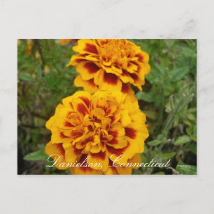 Danielson, Ct Postkarte