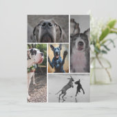 Dänische Dogge Einladung (Stehend Vorderseite)