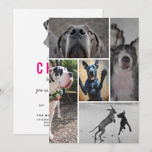 Dänische Dogge Einladung (Vorne/Hinten)