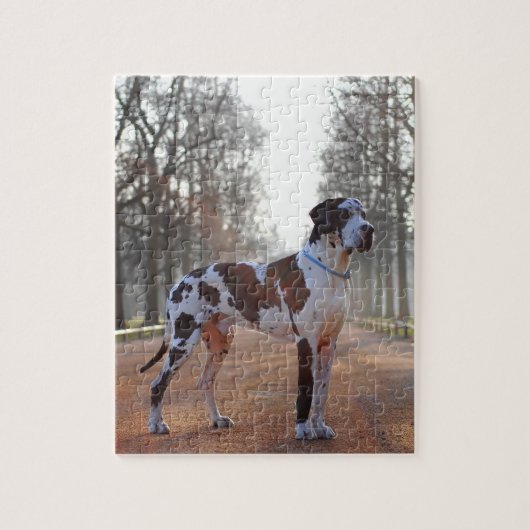 Dänische Dogge Puzzle (Vertikal)