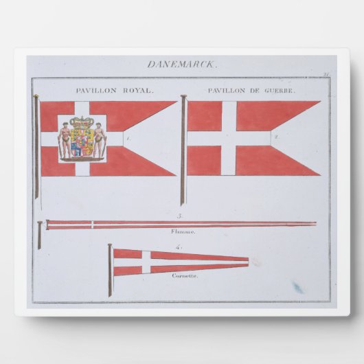 Dänische Flaggen, aus einem französischen Flaggenb Fotoplatte (Vorderseite)