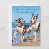 Dänischer Dogge LIEBE AUF DEN ERSTEN BLICK Save-th Save The Date (Vorderseite)