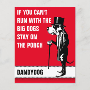 Dänischer Doggen Mister Alf Flyer