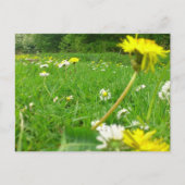 Dänisches Feld Postkarte (Vorderseite)